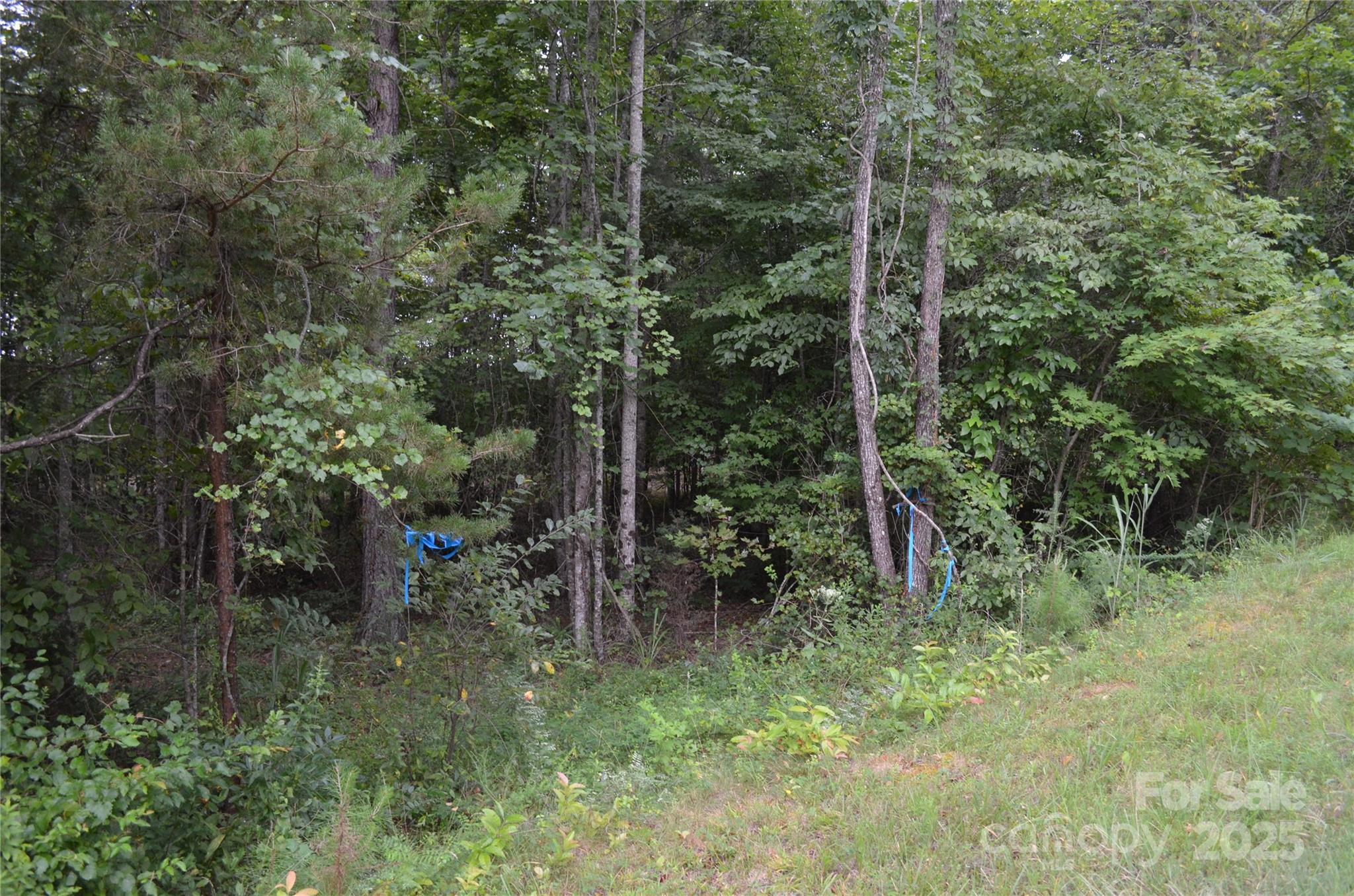 0 Old Morganton Road Union Mills NC 28139