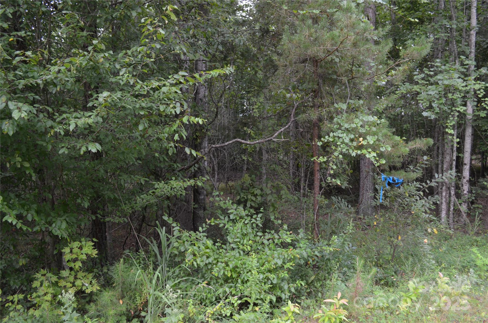 0 Old Morganton Road Union Mills NC 28139