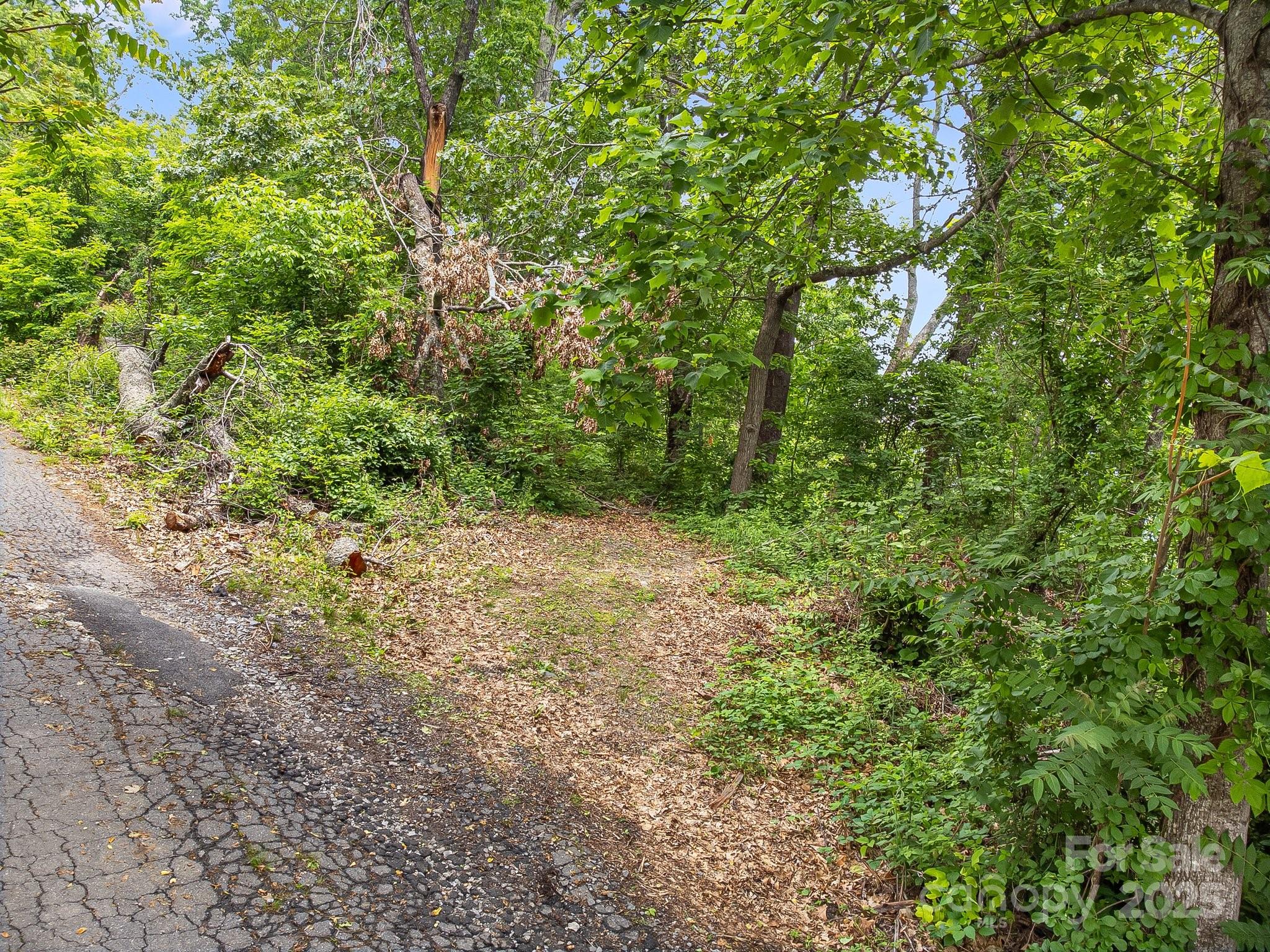 9999 Small Mountain Drive Asheville NC 28805