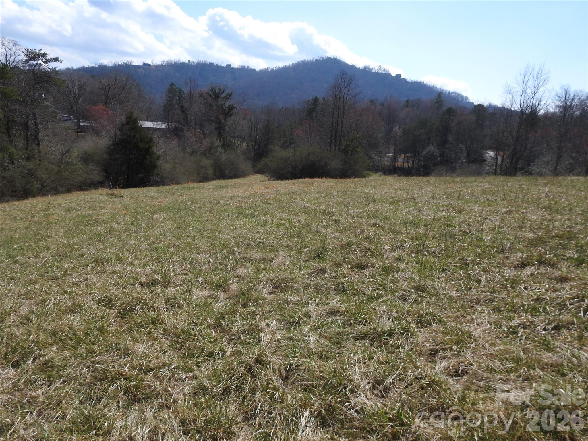 00 Laurel Lakes Parkway Lake Lure NC 28746