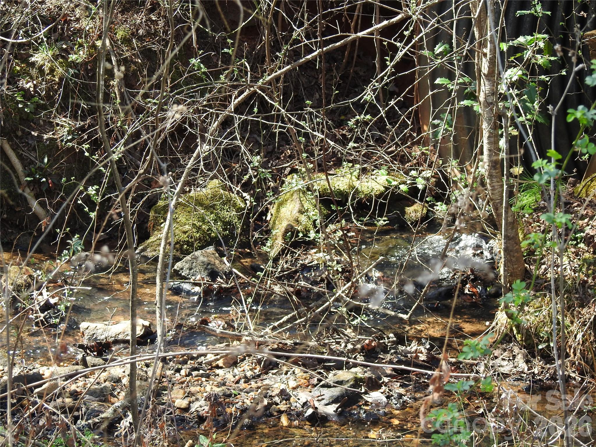 00 Laurel Lakes Parkway Lake Lure NC 28746