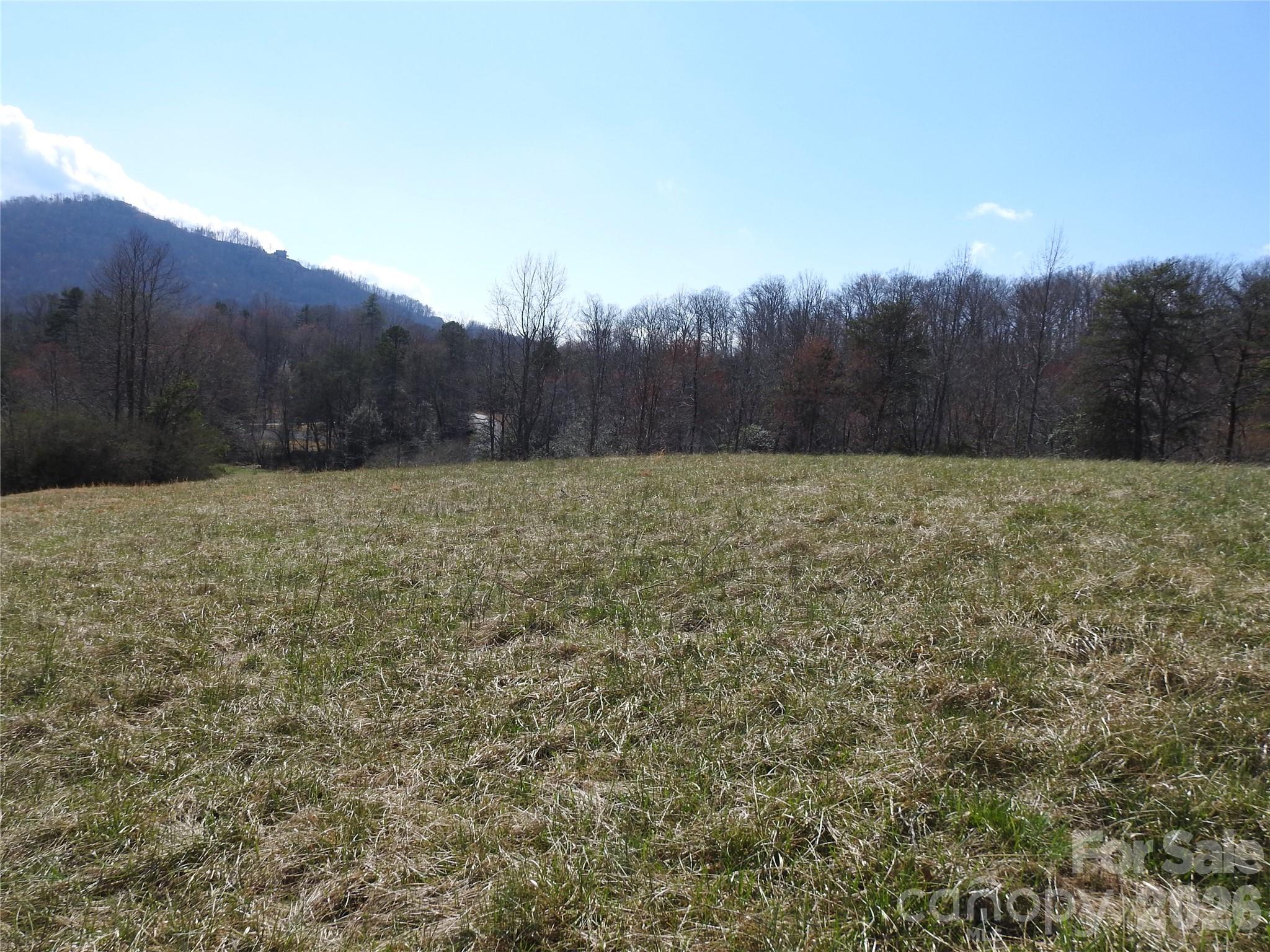 00 Laurel Lakes Parkway Lake Lure NC 28746