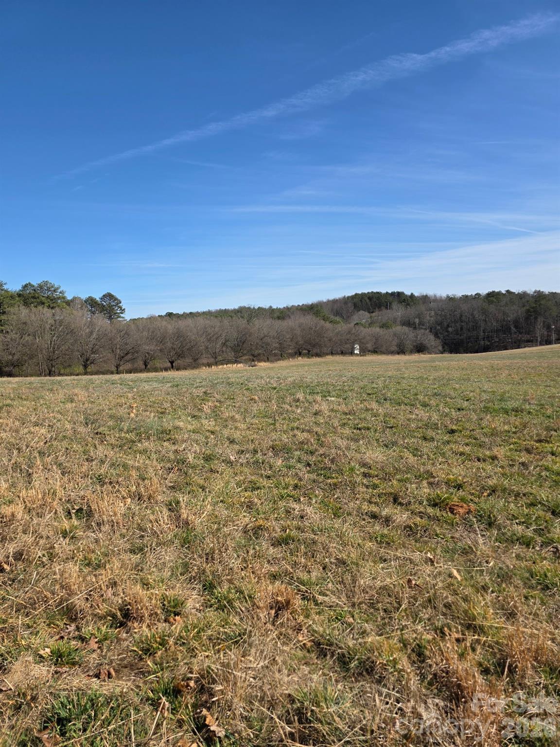 4899 Teague Town Road Taylorsville NC 28681
