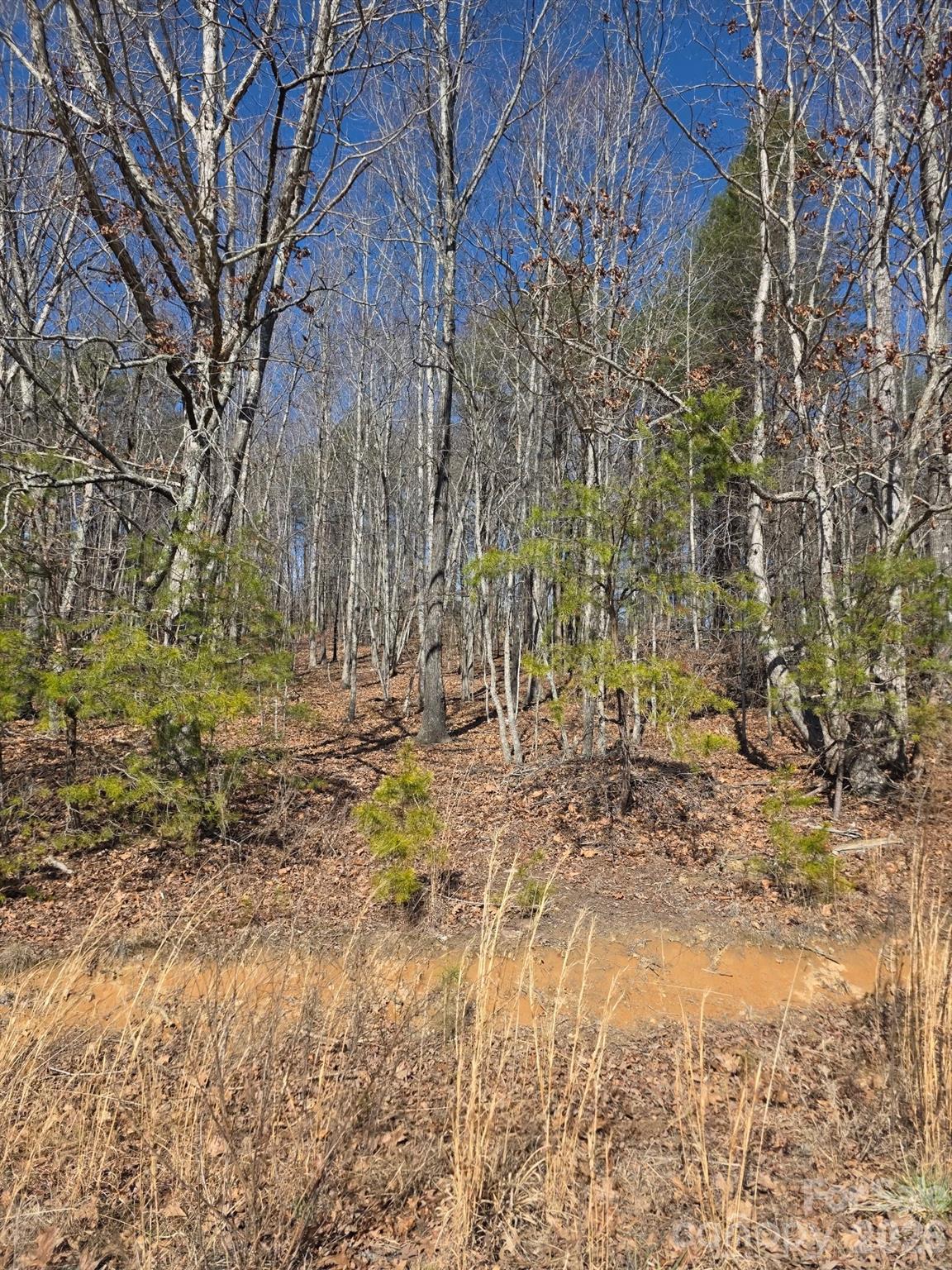 4899 Teague Town Road Taylorsville NC 28681