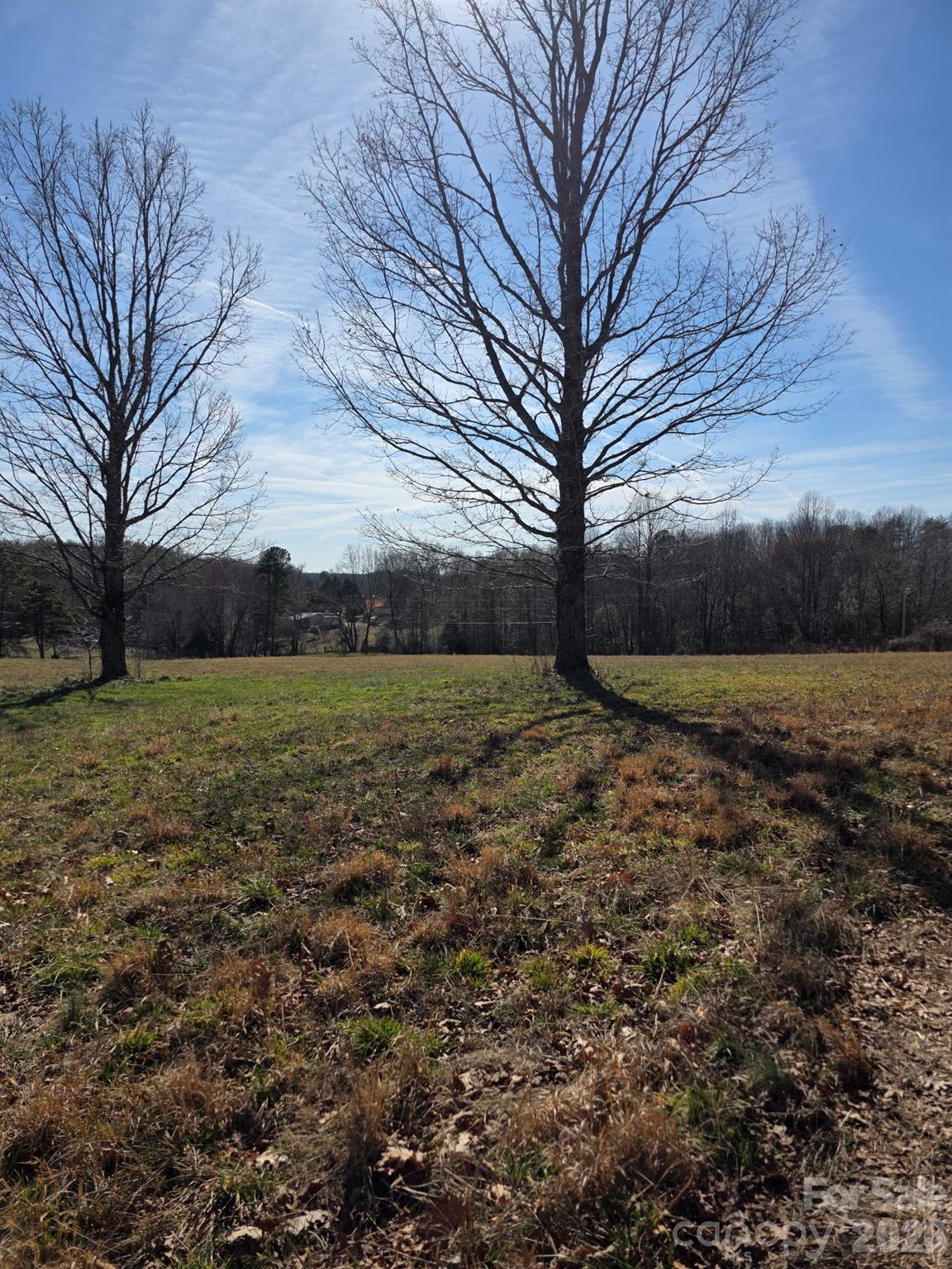 4899 Teague Town Road Taylorsville NC 28681