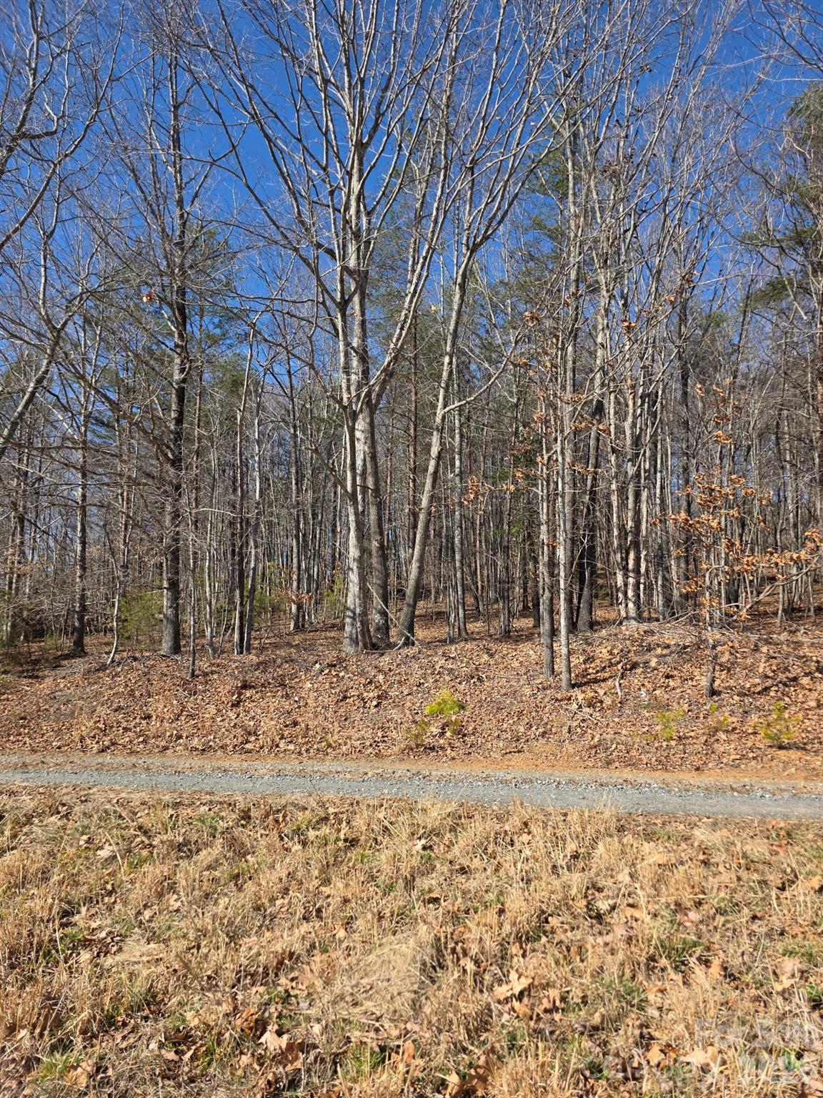 4899 Teague Town Road Taylorsville NC 28681