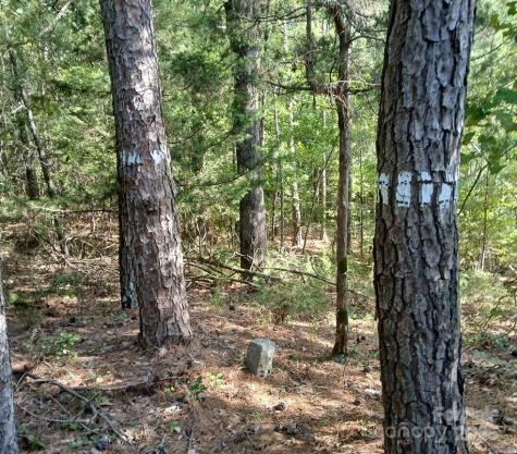 776 North Springs Road Blackstock SC 29014