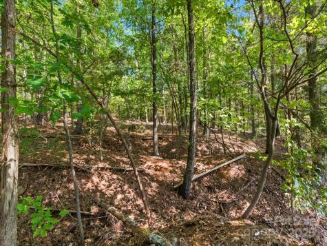 6860 Pine Moss Lane Lake Wylie SC 29710