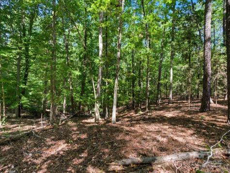 6860 Pine Moss Lane Lake Wylie SC 29710