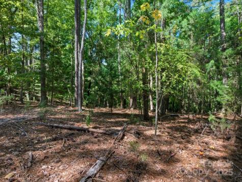 6860 Pine Moss Lane Lake Wylie SC 29710