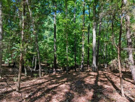 6860 Pine Moss Lane Lake Wylie SC 29710