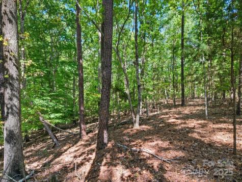 6860 Pine Moss Lane Lake Wylie SC 29710