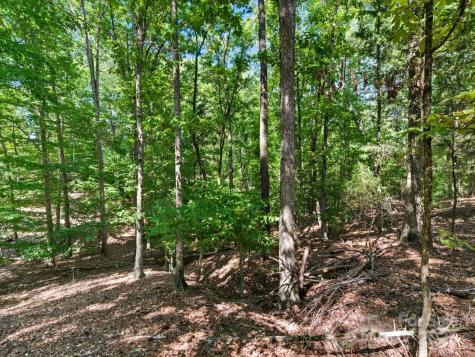 6860 Pine Moss Lane Lake Wylie SC 29710