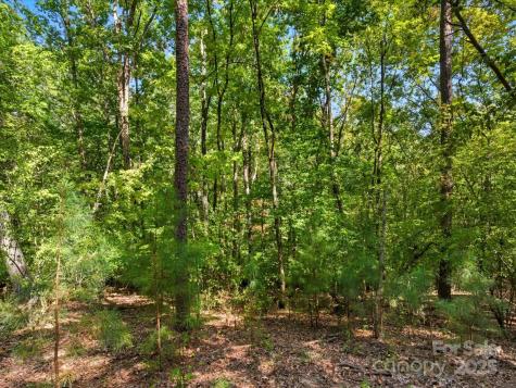 6860 Pine Moss Lane Lake Wylie SC 29710