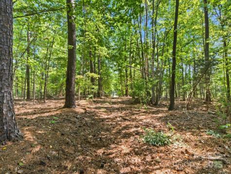 6860 Pine Moss Lane Lake Wylie SC 29710