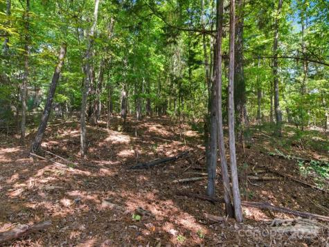 6860 Pine Moss Lane Lake Wylie SC 29710