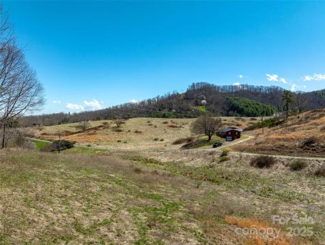 99999 Belmont Drive Clyde NC 28721