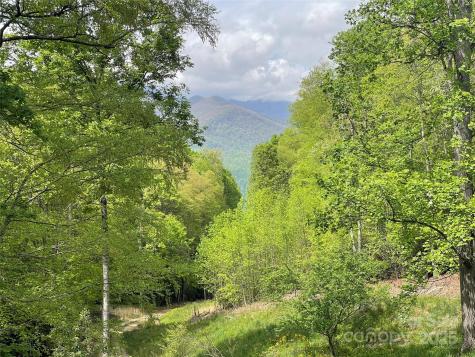 930 Copperhead Cove Sylva NC 28779