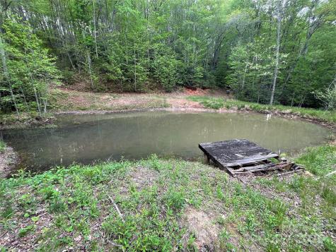 930 Copperhead Cove Sylva NC 28779