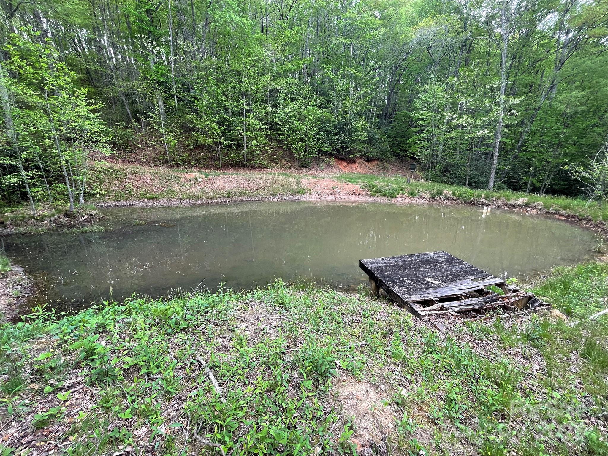 930 Copperhead Cove Sylva NC 28779