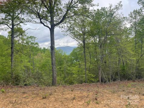 930 Copperhead Cove Sylva NC 28779