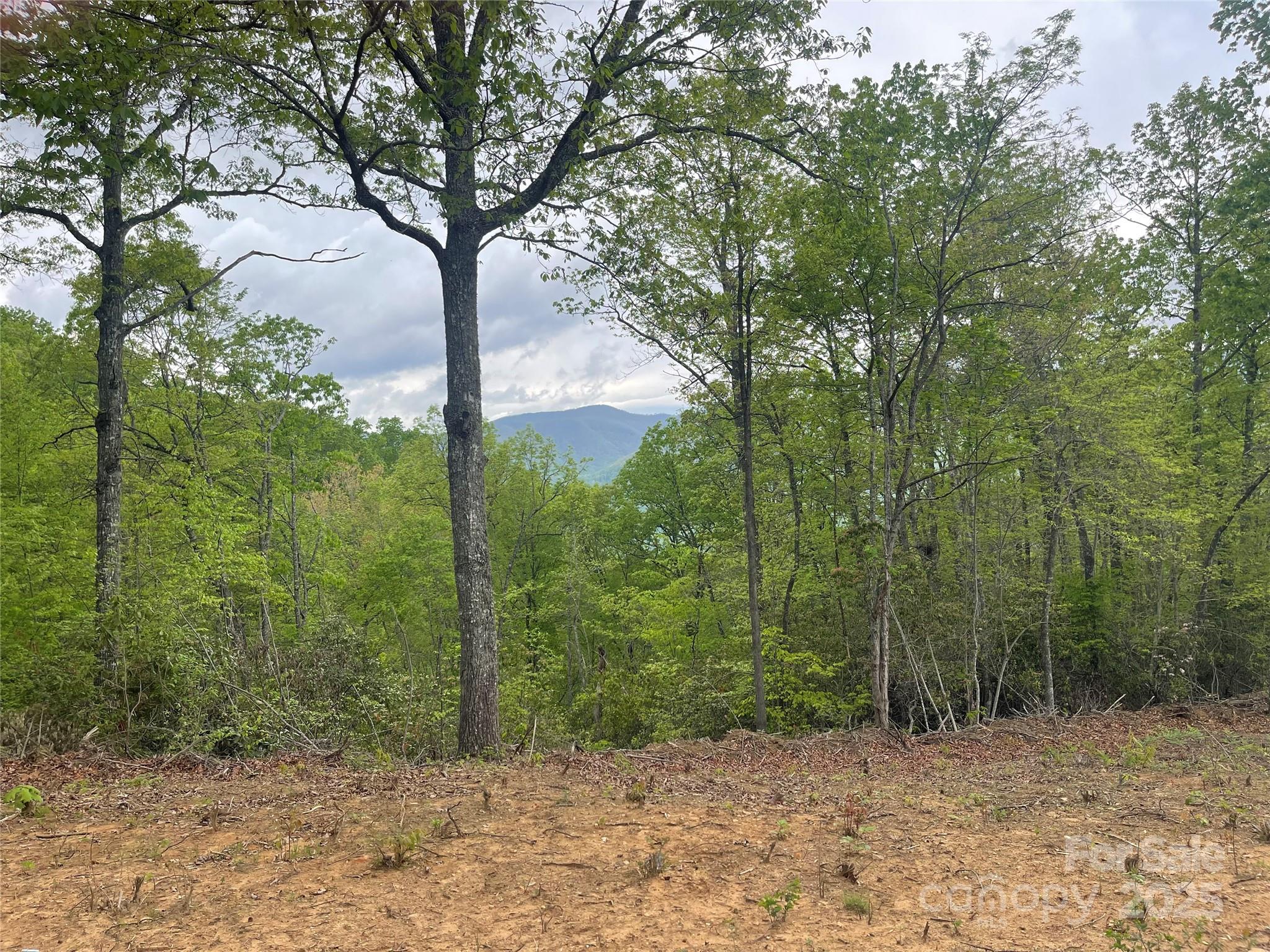 930 Copperhead Cove Sylva NC 28779