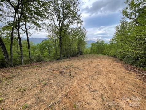 930 Copperhead Cove Sylva NC 28779