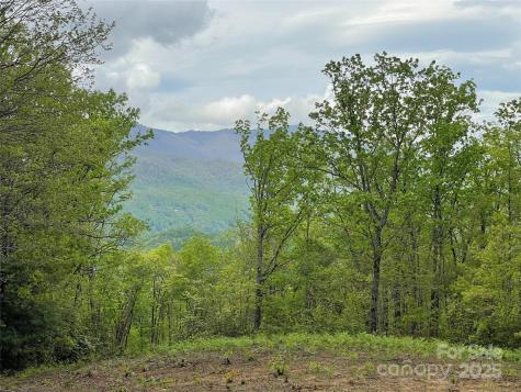 930 Copperhead Cove Sylva NC 28779