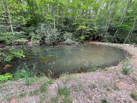 930 Copperhead Cove Sylva NC 28779