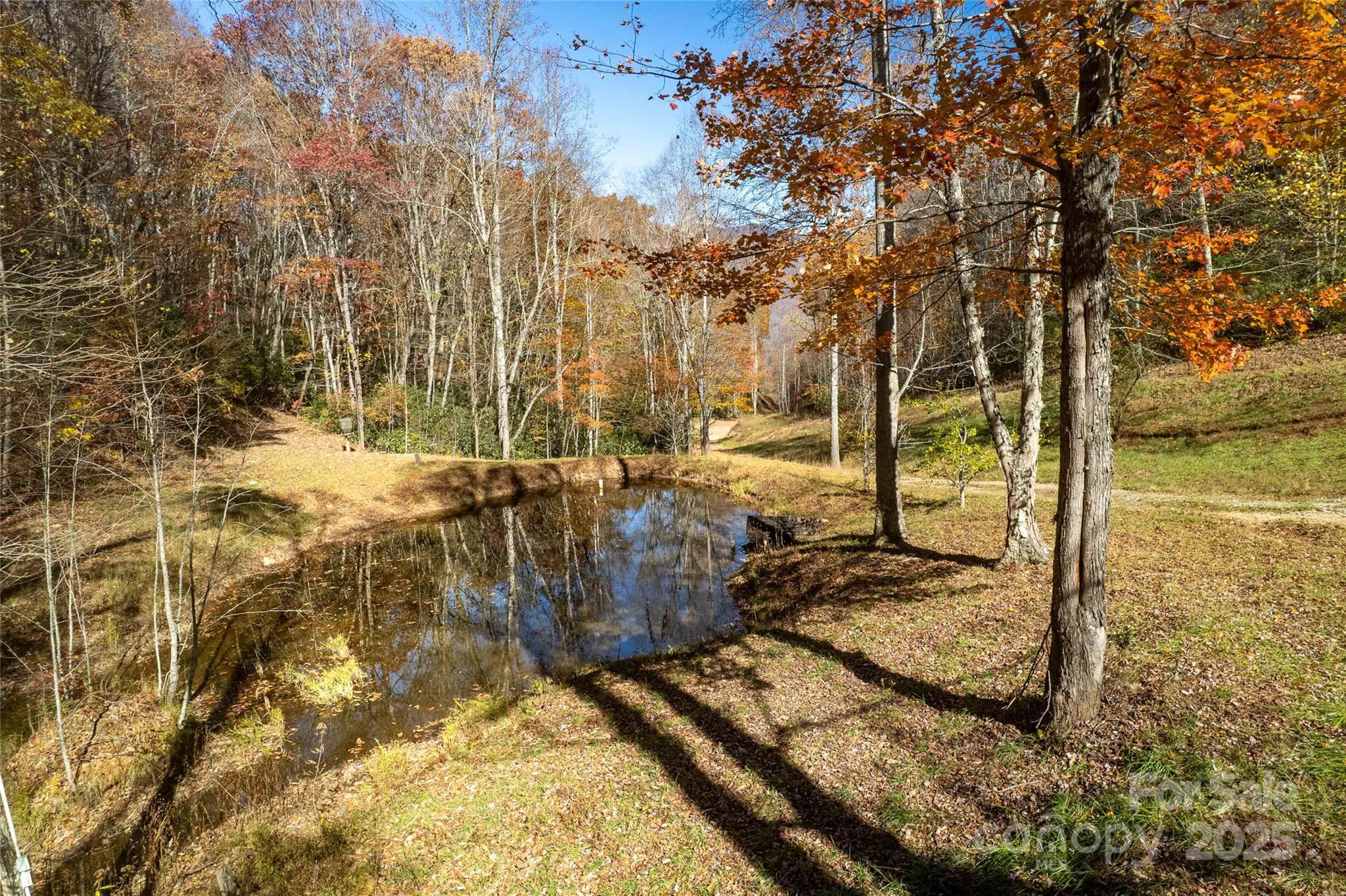 930 Copperhead Cove Sylva NC 28779