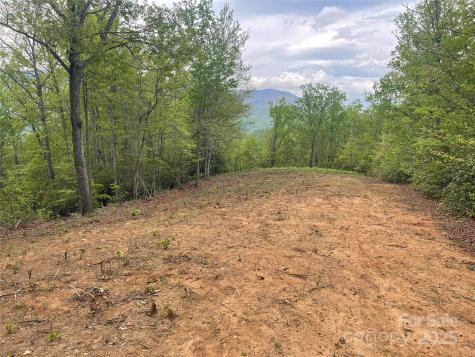 930 Copperhead Cove Sylva NC 28779