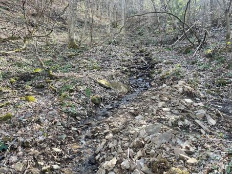 930 Copperhead Cove Sylva NC 28779