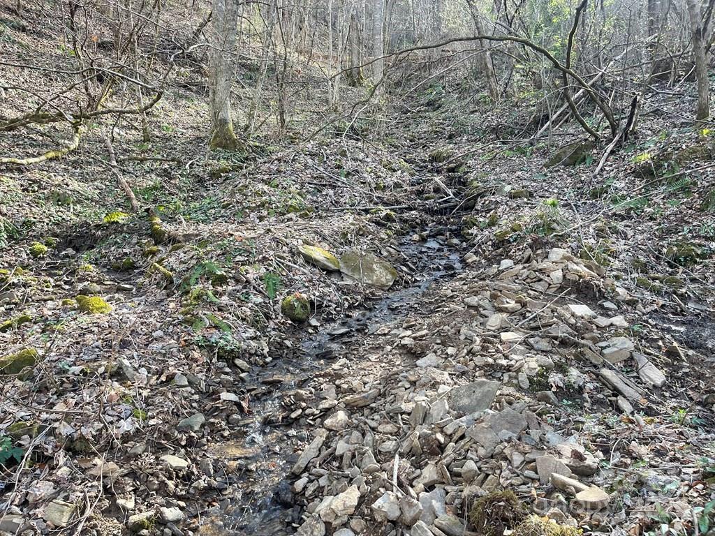 930 Copperhead Cove Sylva NC 28779