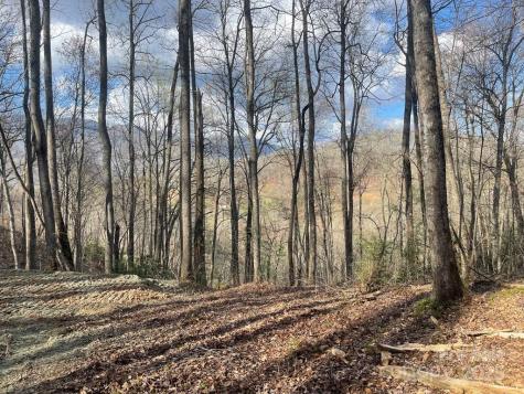 930 Copperhead Cove Sylva NC 28779