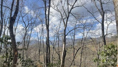 930 Copperhead Cove Sylva NC 28779