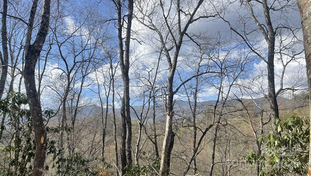 930 Copperhead Cove Sylva NC 28779