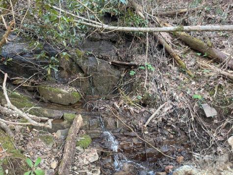 930 Copperhead Cove Sylva NC 28779