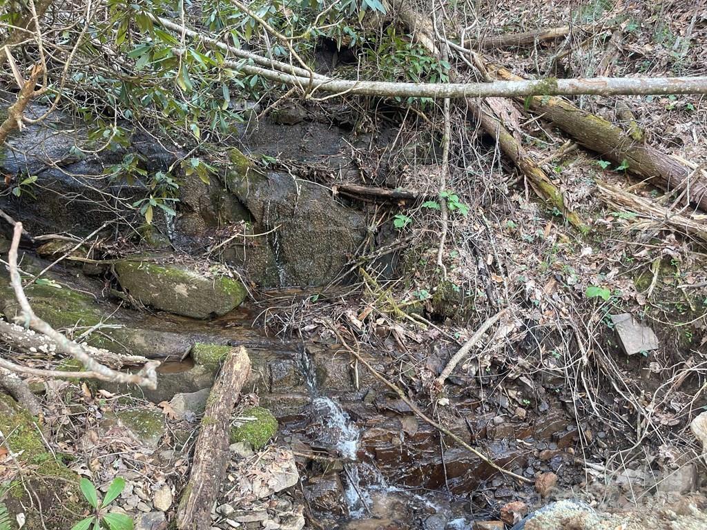 930 Copperhead Cove Sylva NC 28779