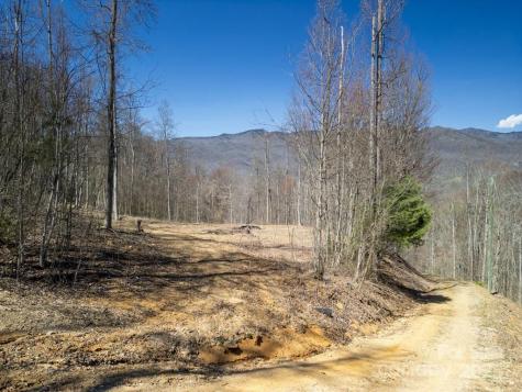 930 Copperhead Cove Sylva NC 28779