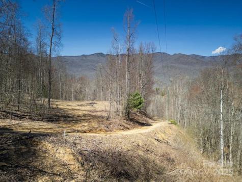 930 Copperhead Cove Sylva NC 28779