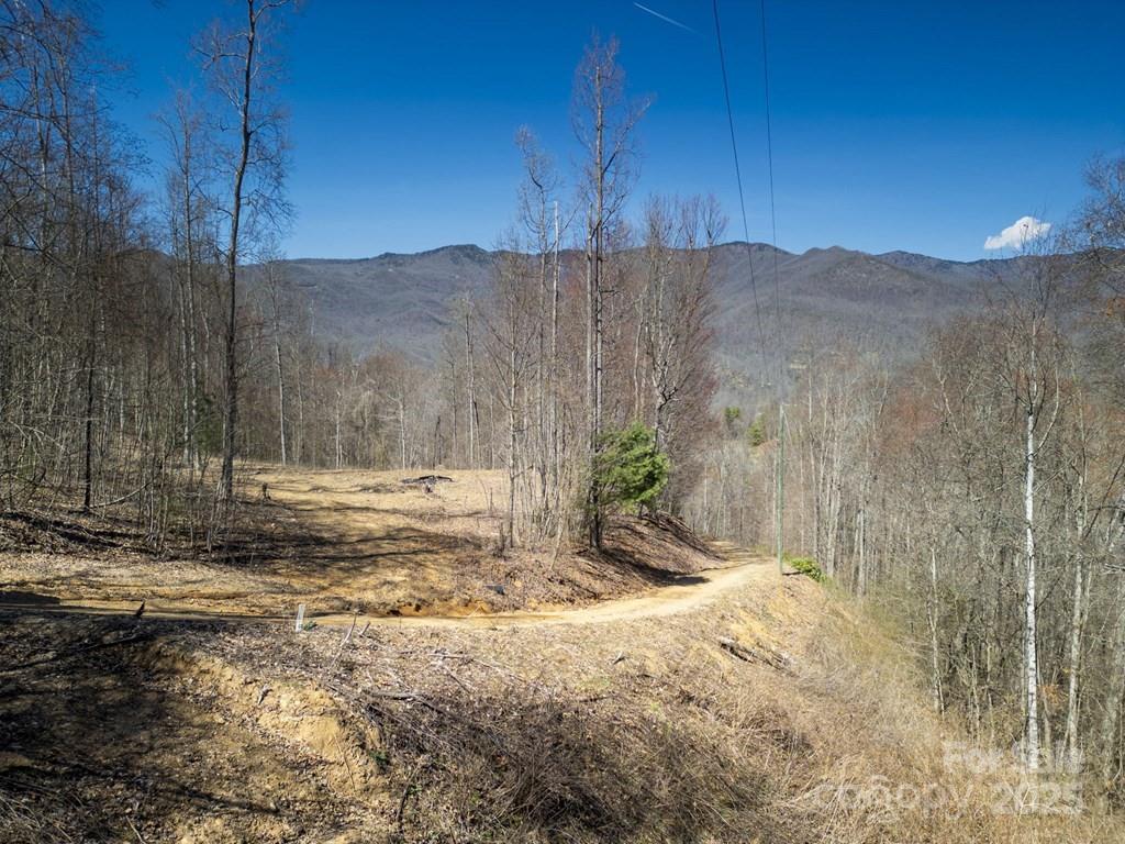 930 Copperhead Cove Sylva NC 28779
