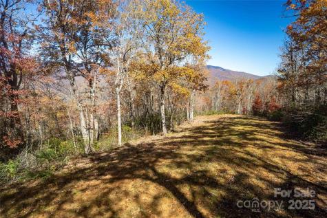 930 Copperhead Cove Sylva NC 28779