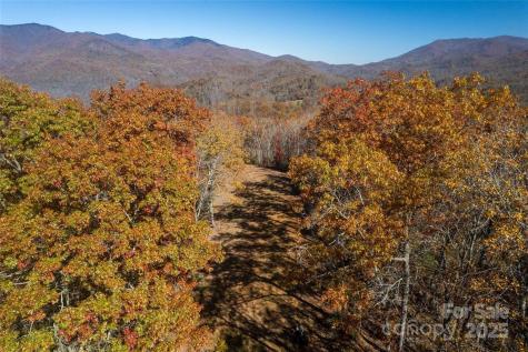 930 Copperhead Cove Sylva NC 28779