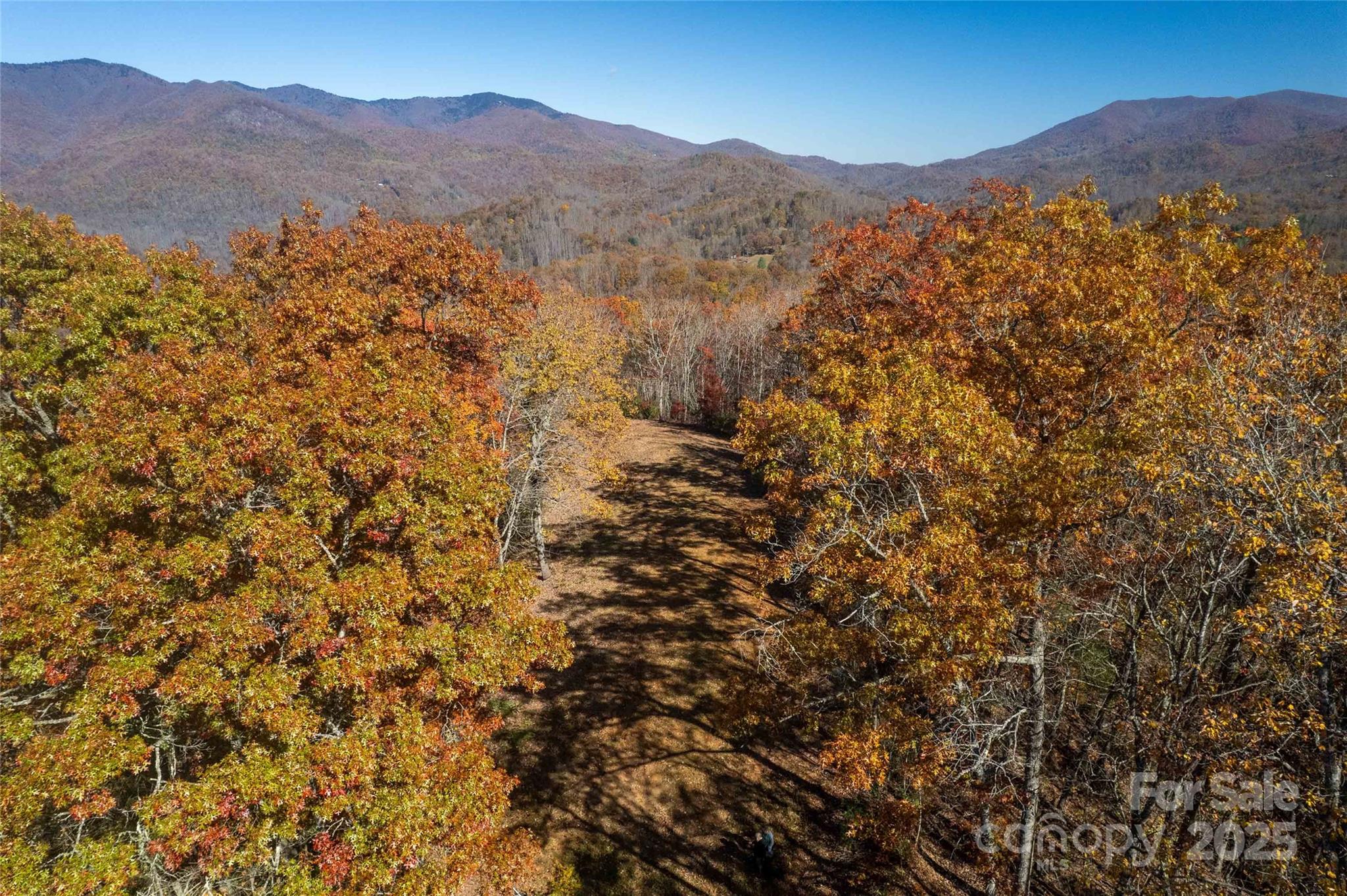 930 Copperhead Cove Sylva NC 28779