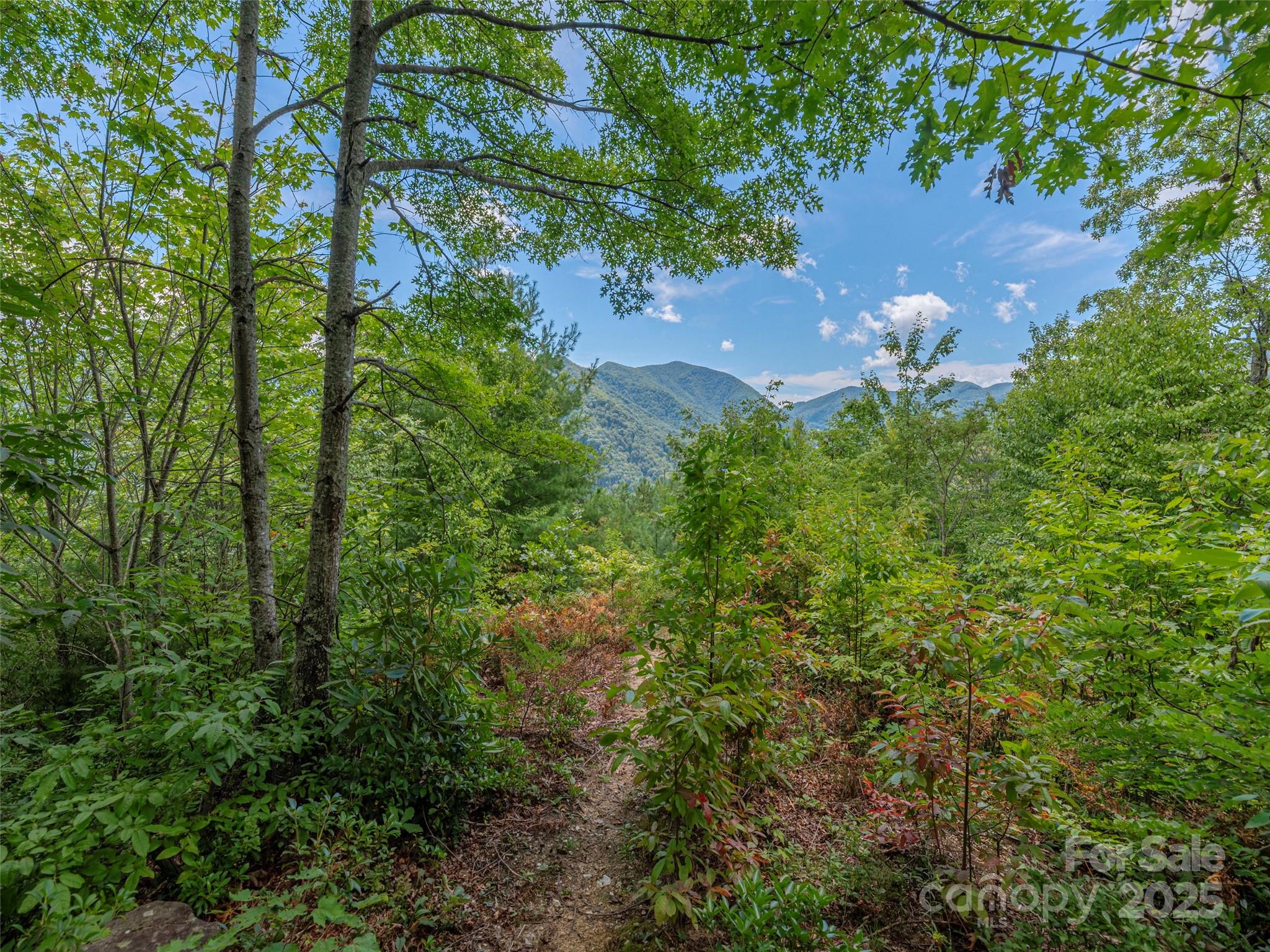00 Split Rail Drive Maggie Valley NC 28751