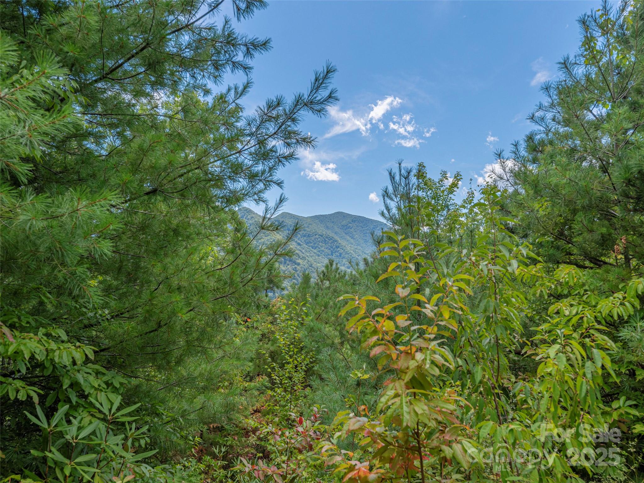 00 Split Rail Drive Maggie Valley NC 28751