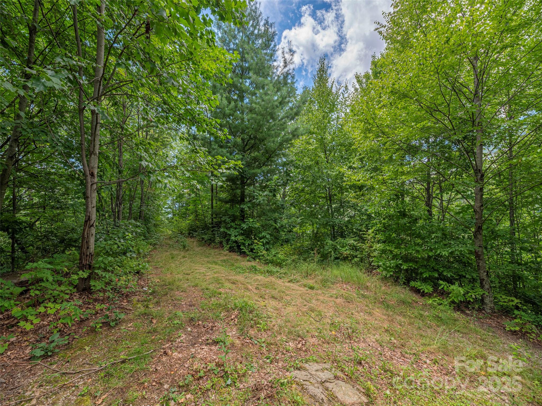 00 Split Rail Drive Maggie Valley NC 28751