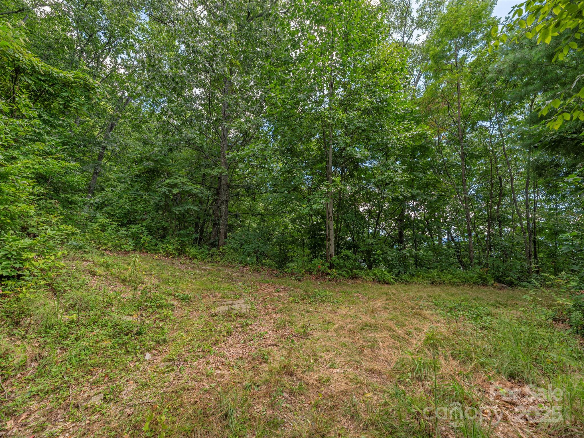 00 Split Rail Drive Maggie Valley NC 28751