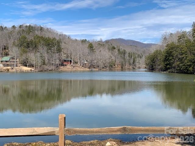 0 Poodles Way Lake Lure NC 28746