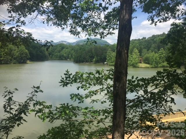 0 Poodles Way Lake Lure NC 28746